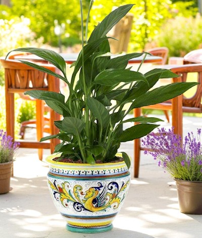 RAFFAELLESCO DELUXE: Luxury Cachepot Planter MED