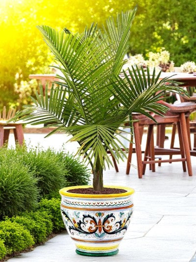 RICCO DERUTA DELUXE: Luxury Cachepot Planter MEDIUM